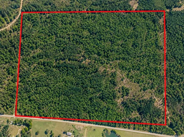 0 Goodfellow Rd, Star City, AR 71667