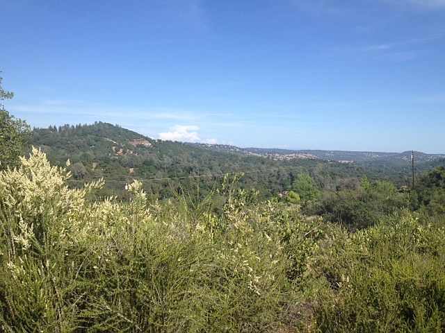 1st image of 4501 El Caminito Dr