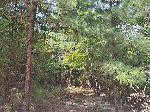 5th image of 23499 Pine Dr