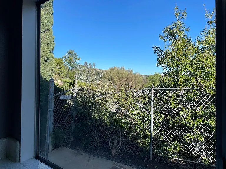View from Kitchen Sink of Dog Run