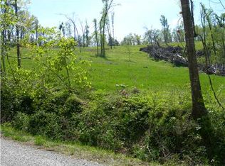 Ellenbarger Rd, Springdale, AR 72764