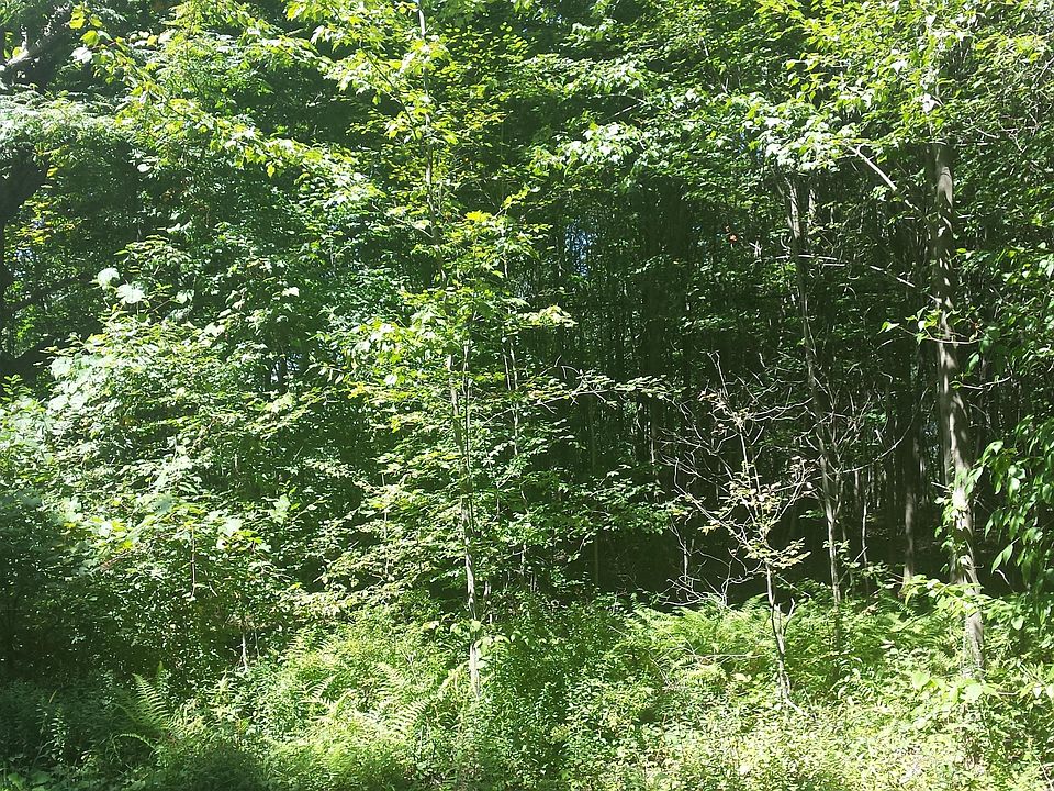 2nd image of N Smith Rd