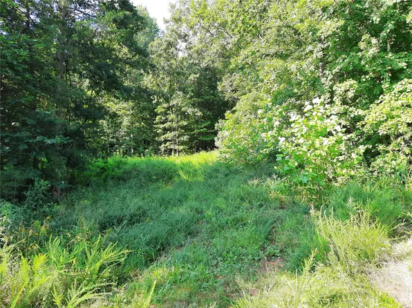 0 Wayne 350 Cres #350, Piedmont, MO 63957