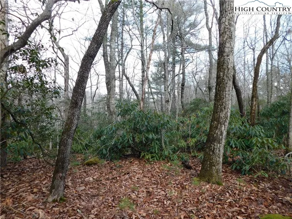 TBD Gurney Franklin Road, Newland, NC 28657