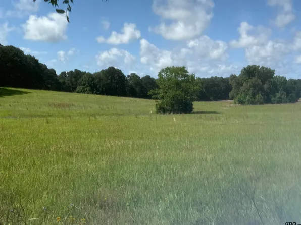 County Road 4194 Trl #5, Henderson, TX 75654