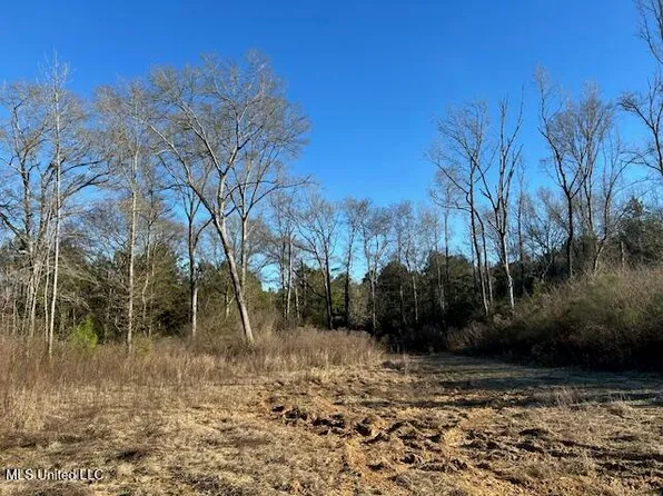 8127 Magnolia Holmesville Rd, McComb, MS 39648