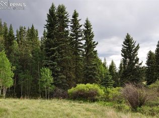 1570 Pathfinder Rd, Florissant, CO 80816