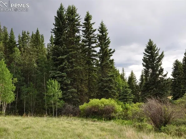 1570 Pathfinder Rd, Florissant, CO 80816