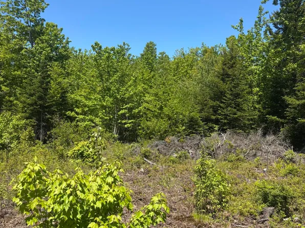 54 Poplar Lane, Hancock, ME 04640