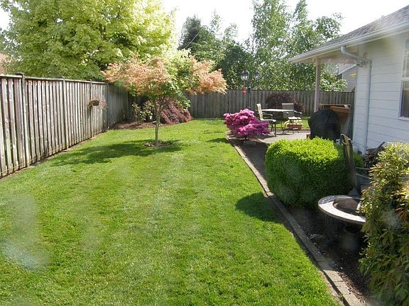Back yard. 