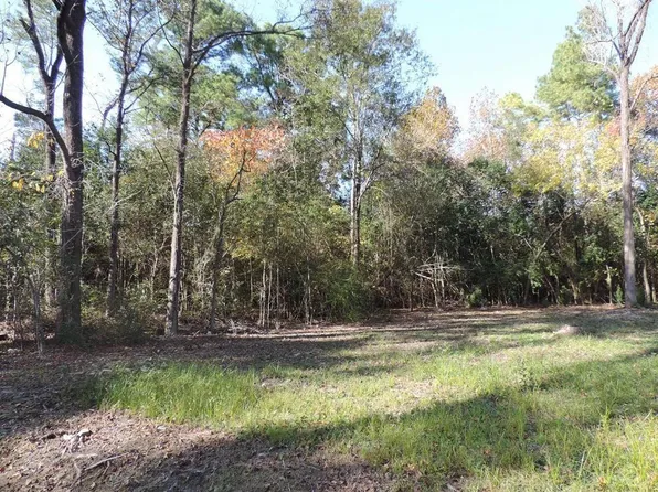 33-46 Creekmont Dr Lot 33, Houston, TX 77091