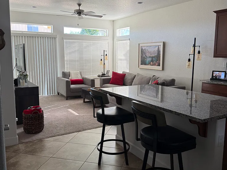 971 Peach Blossom Way — Photo 3