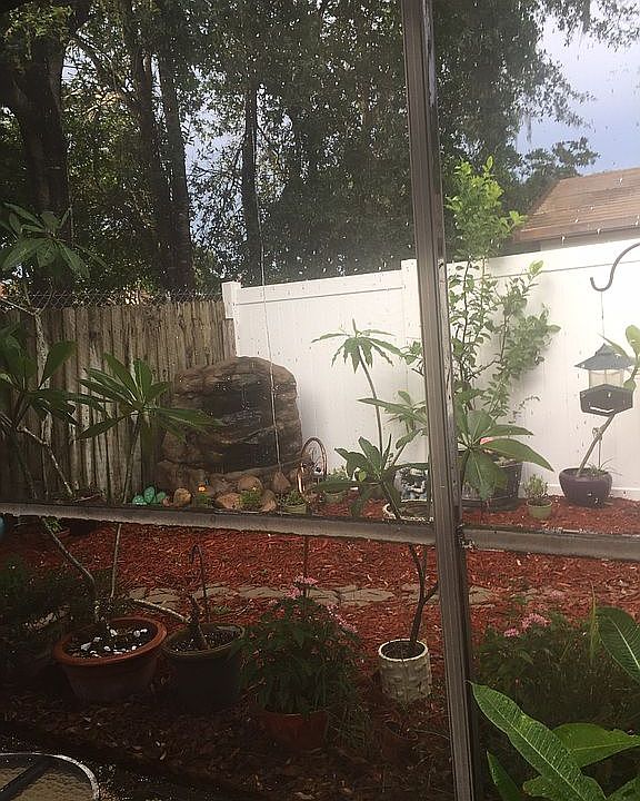 Butterfly garden