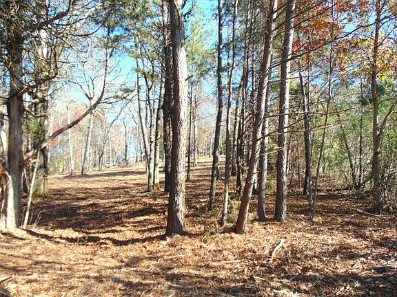 5th image of 160 Pin Oak Dr Lot 10