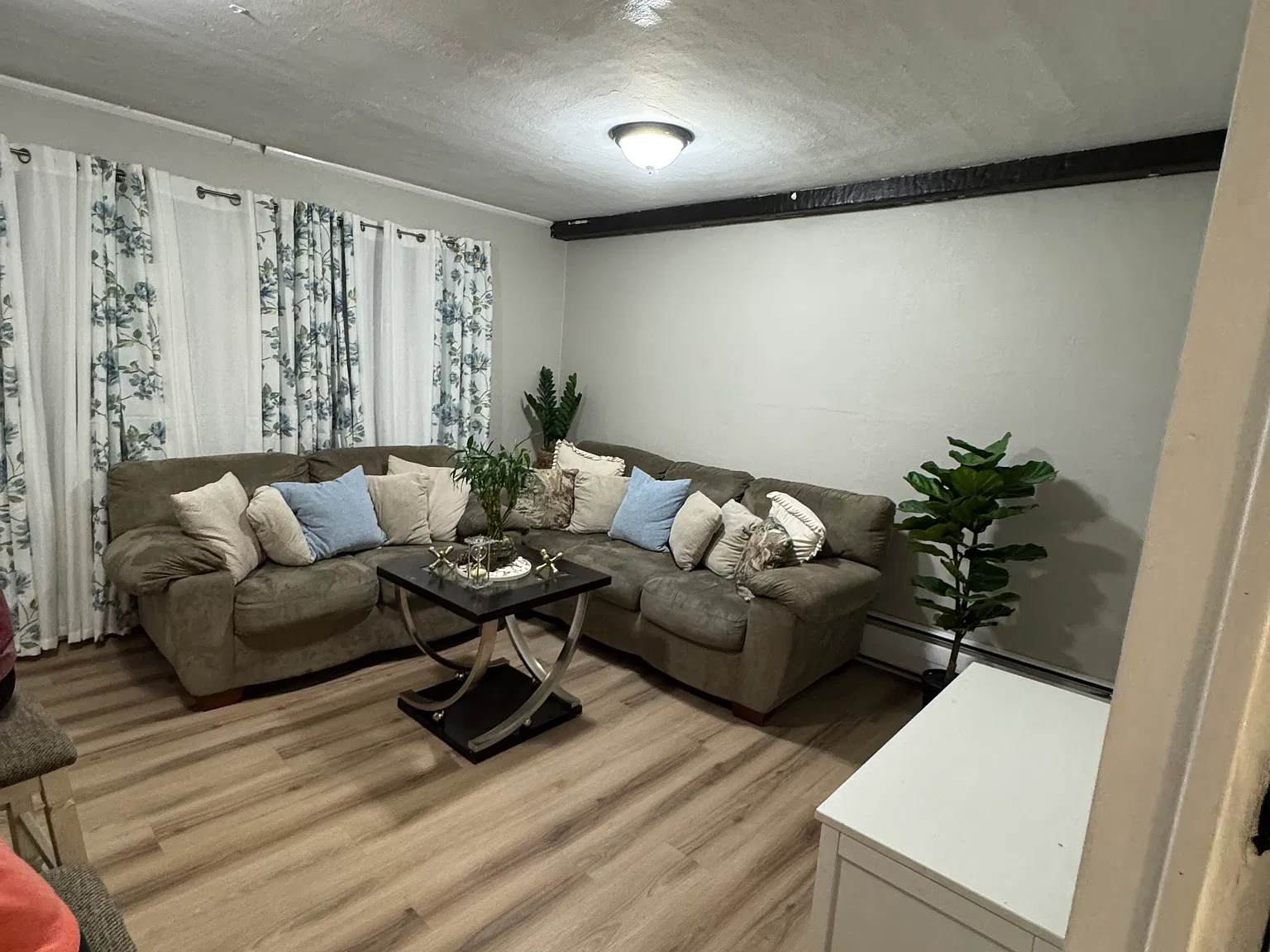 3 bed, $2,500 — Photo 2
