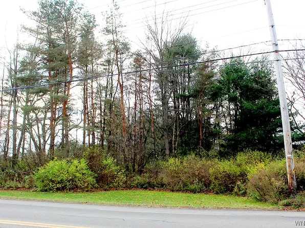 S Vaughn St Lot 6, Springville, NY 14141