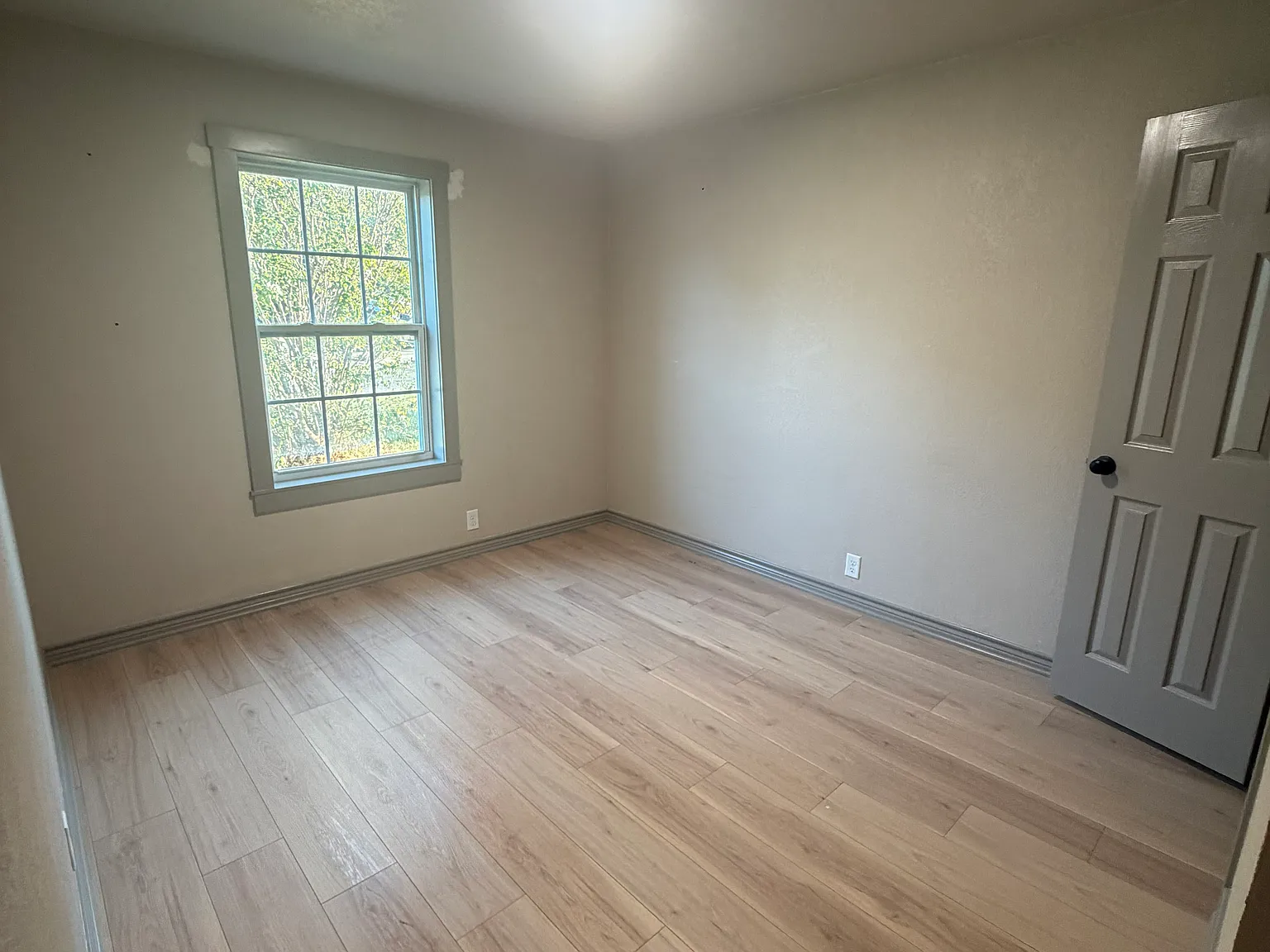 1509 Patricia Dr — Photo 2