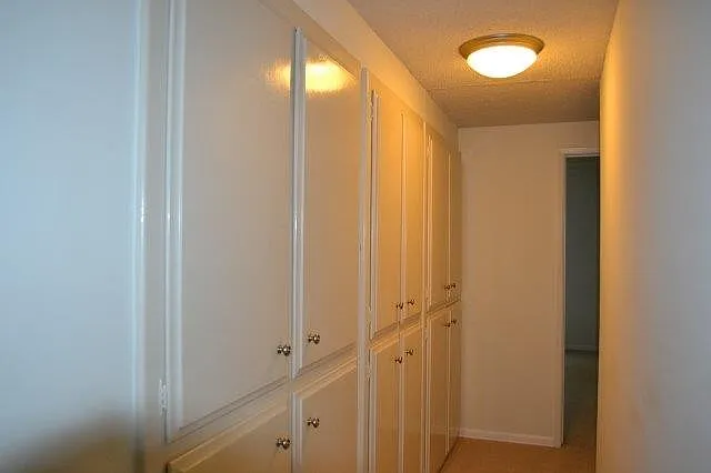 3 bed, 1290 sqft, $2,700 — Photo 3