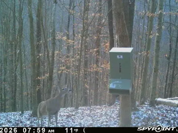 1465 King Bend Rd, Cumberland Gap, TN 37724