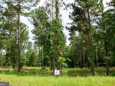 100 Overlook Dr, Eatonton, GA, 31024