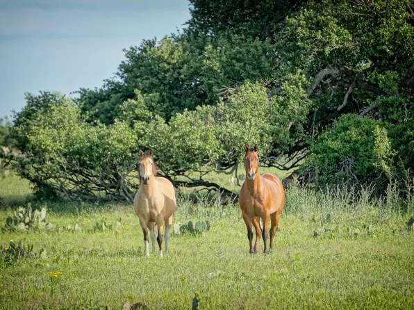 LOT 200 Swamp Creek Cv, Burnet, TX 78611