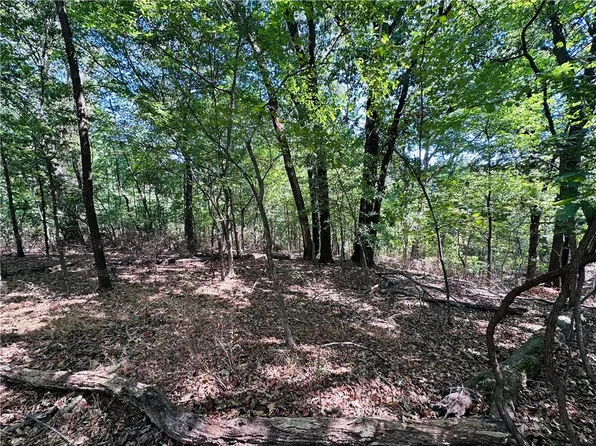 Leola Ln #2, Bella Vista, AR 72715