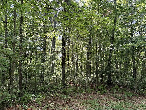 4th image of 6 Gem Creek Rd