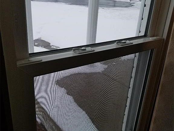3rd image of 112 Renee Ct