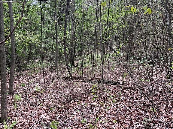 2nd image of Sandy Ridge Rd SE