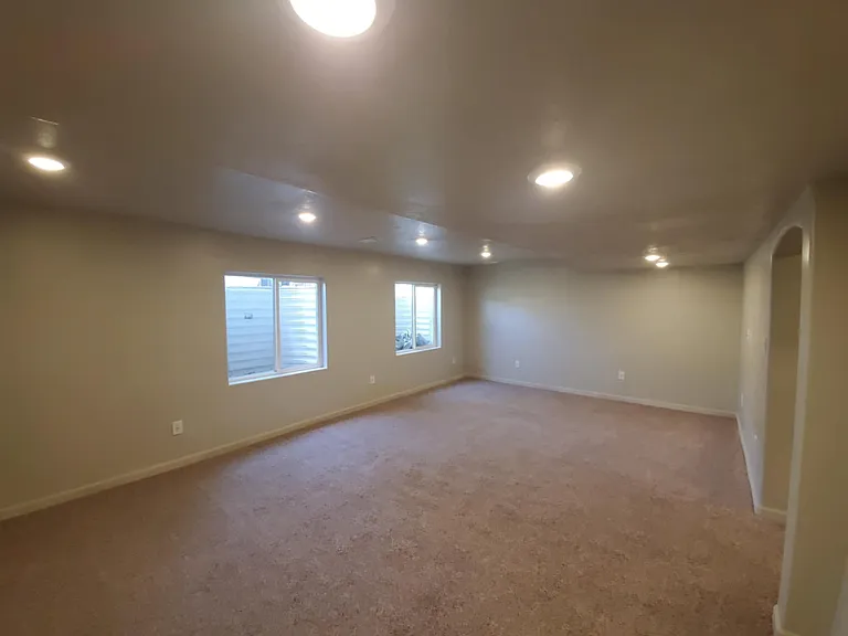 Basement Family room