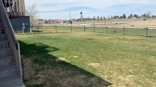 Fenced backyard