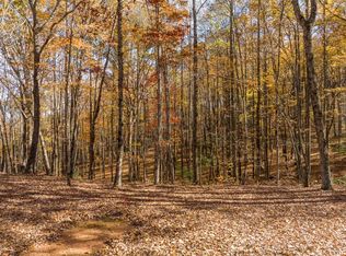 LOT-17R Tanager Trl #241, Ellijay, GA 30536