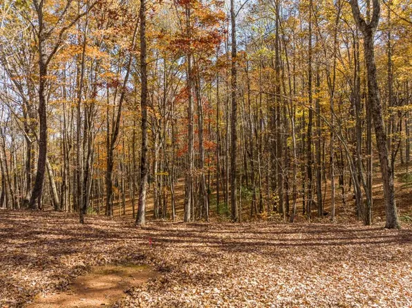 LOT-17R Tanager Trl #241, Ellijay, GA 30536