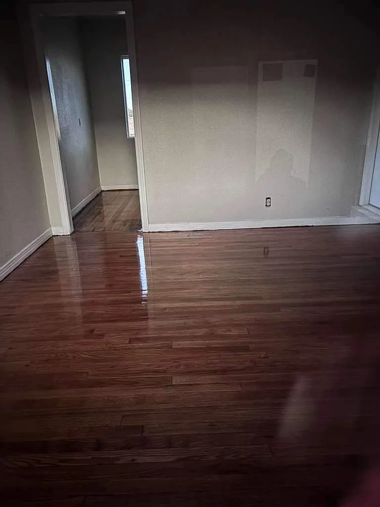 1 bed, $750 — Photo 3