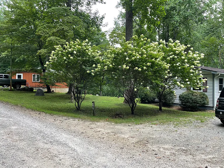 787 Coweeta Lake Cir — Photo 10