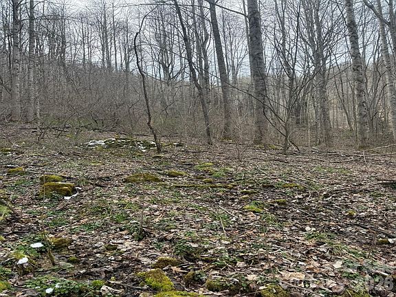 5th image of Jass Cove Rd