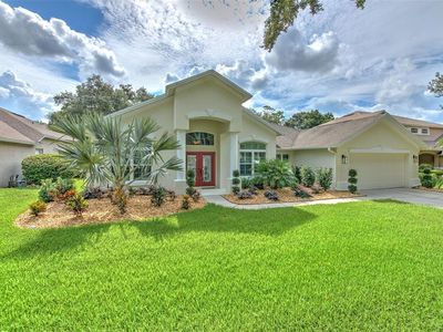 5204 Twin Creeks Dr, Valrico, FL, 33596