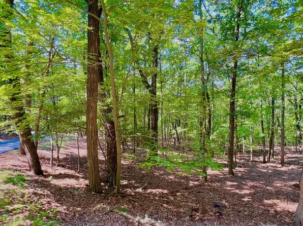 1481 Briar Vis, Jasper, GA 30143