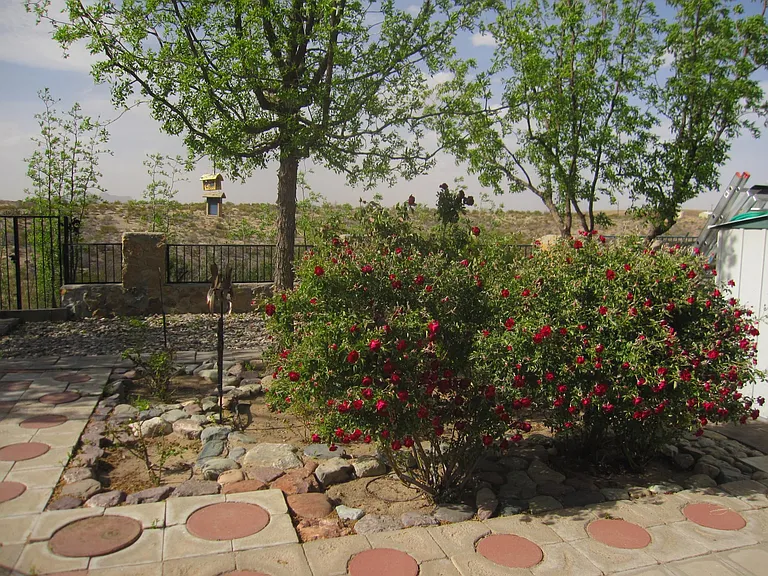 564 Canyon Point Rd — Photo 3