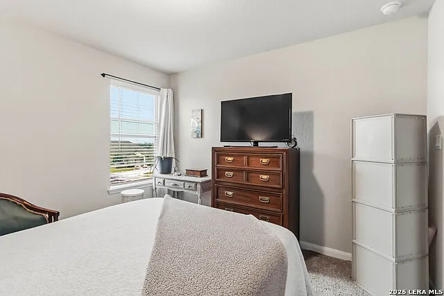 335 Shelton Pass — Photo 29