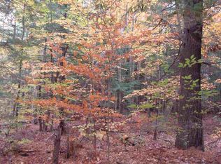 35 Tannery Hill Rd, Porter Corners, NY 12859