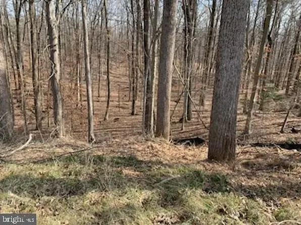 Cheltenham Rd, Upper Marlboro, MD 20772