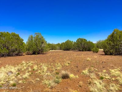 1528 Falcon Rd, Show Low, AZ, 85901
