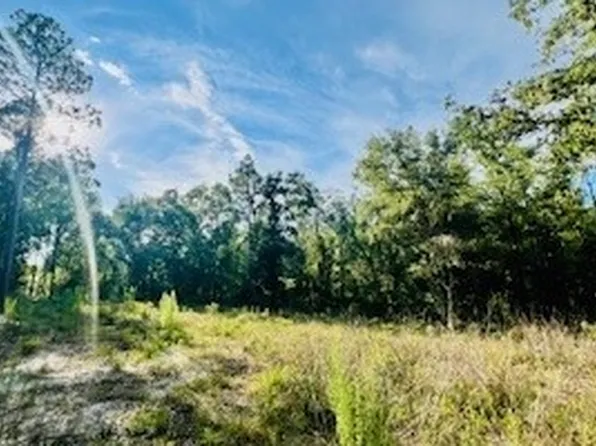 0 NW 18th Ter, Bell, FL 32619