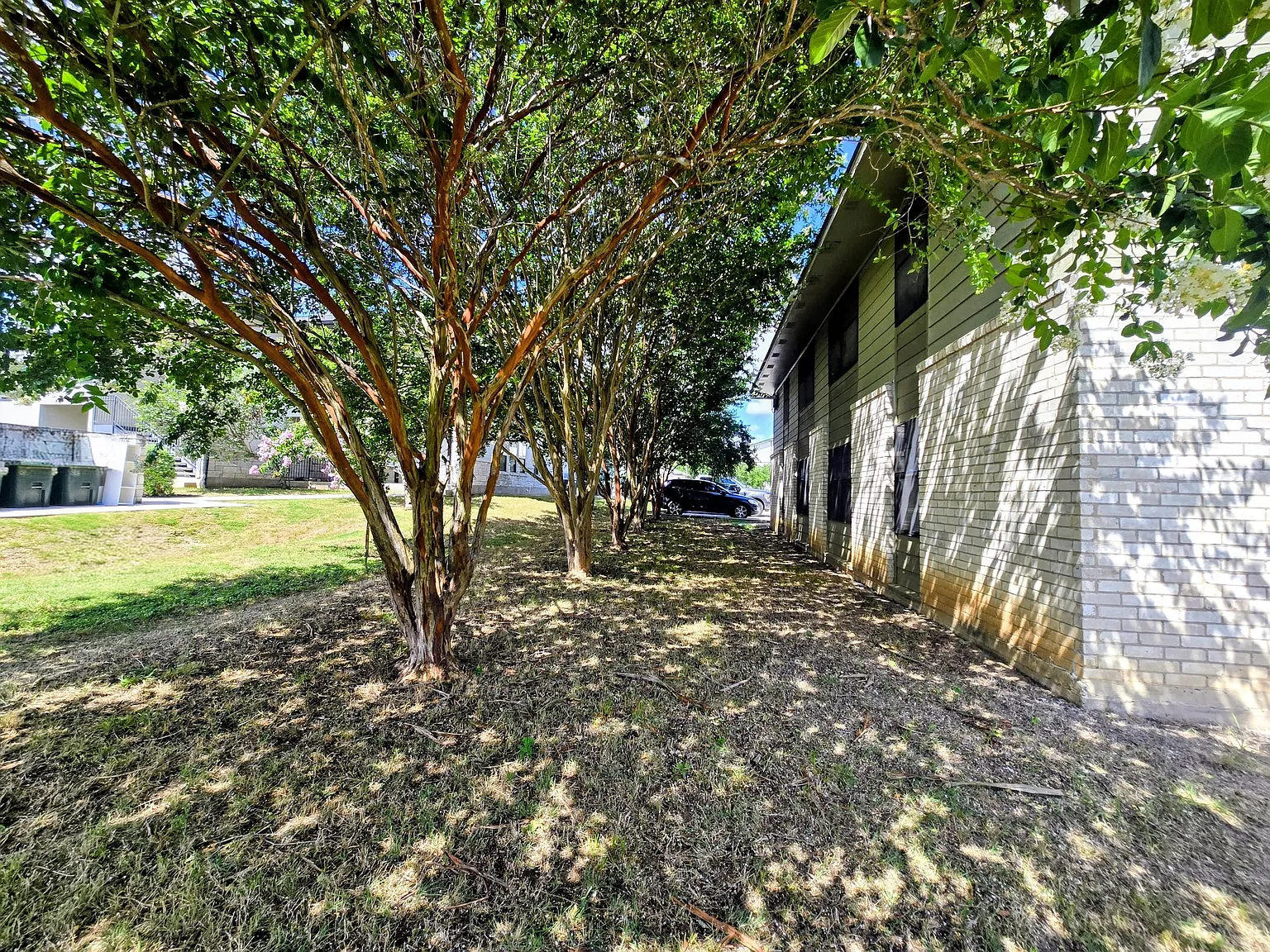 2 bed, 800 sqft, $975 — Photo 2