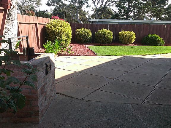 Well maintained back yard. Small section of lawn with few p