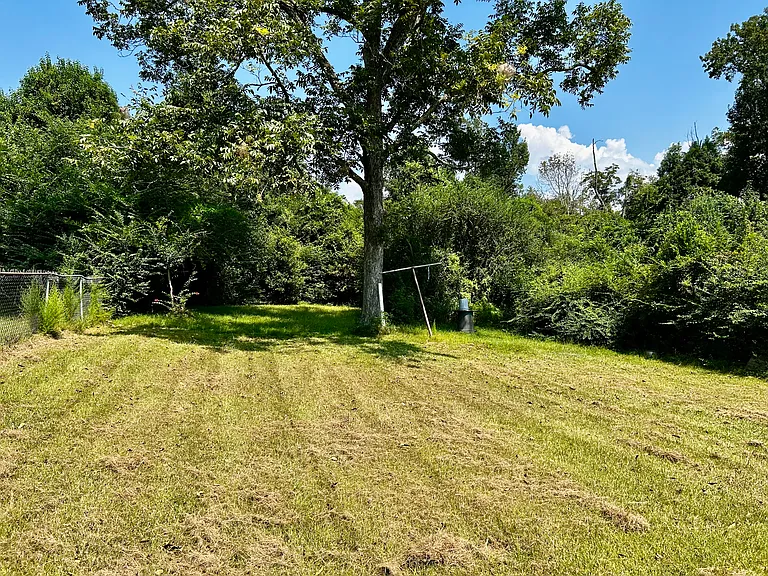 313 Mahlon St — Photo 12