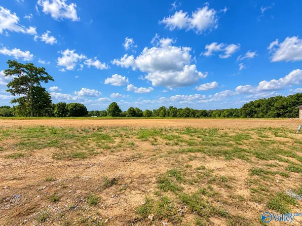 24565 Panther Branch Cir, Athens, AL 35613