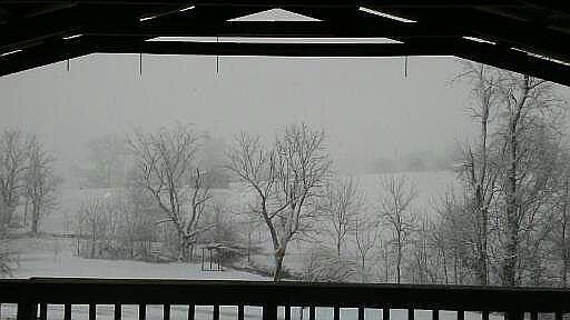 3rd image of 1705 Watkins Ln