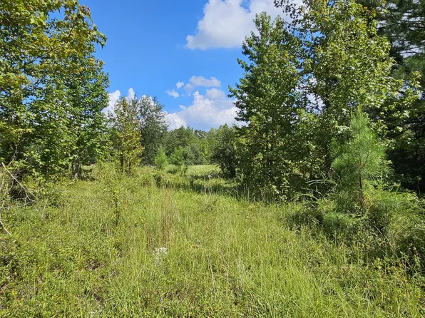 Coventry Trl, Manning, SC 29102